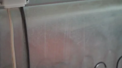 Close-up of the condenser at the back of the refrigerator. The heat exchanger of Stock Footage 231484334