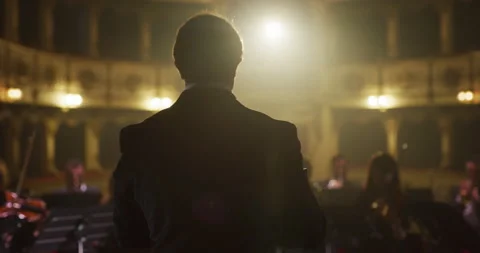 Close up of conductor directing symphony orchestra on classic theatre stage Video stock 154006576