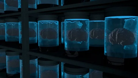 Close Up on Containers with Human Brains stored on shelves. Stock Footage 81090363