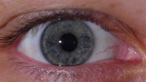 Close-up of the contraction of the gray pupil of the human eye in slow-motion 스톡 동영상 171592242