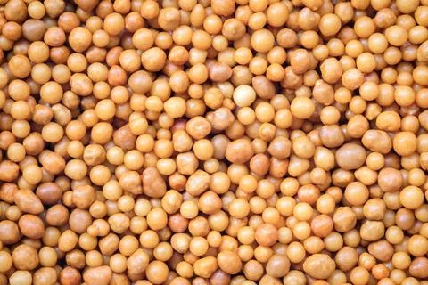 Close up, controlled release fertilizer Foto stock