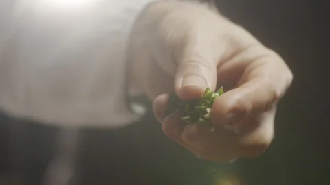 Close-up of cook adding jalapenos or green chili peppers to dish. Slow motion Stock Footage 124771532