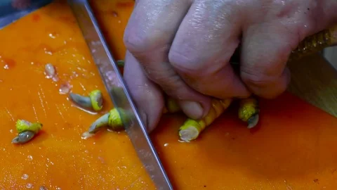 Close-up. The cook cuts off the bird's nails Stock Footage 78930551