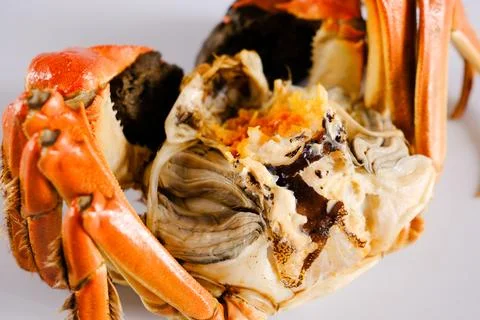 Close-up of cooked crab with opened shell Stock Photos