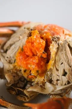 Close-up of cooked crab with orange roe Stock Photos