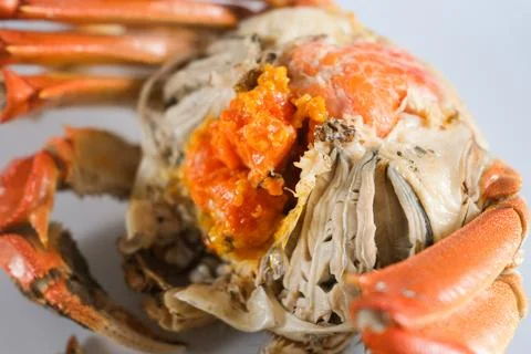 Close-up of cooked crab with orange roe Stock Photos