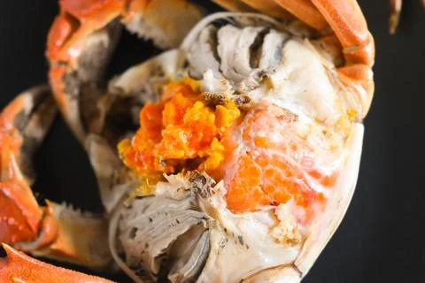 Close up of cooked crab with orange roe Stock Photos
