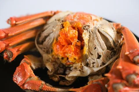 Close up of cooked crab with orange roe Stock Photos