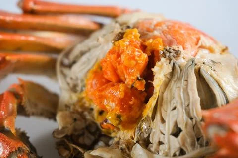 Close up of cooked crab with orange roe Stock Photos
