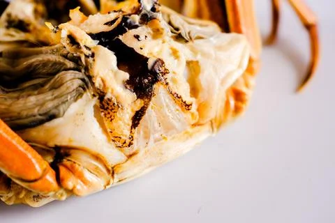 Close-up of cooked crab shell and claws Stock Photos