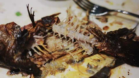 Close up of a cooked fish skeleton left on a plate after a meal Stock Footage 332572643