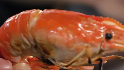 Close-up of Cooked Giant River Prawn Head and Shell Stock Footage 344228608
