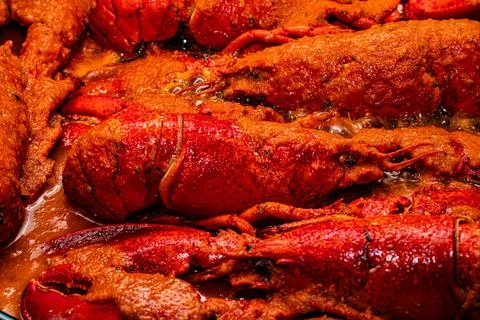 Close-up of cooked lobster with red shell and sauce Stock Photos