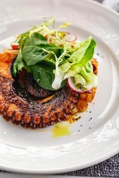 Close up of cooked octopus in a restaurant serving Stock Photos