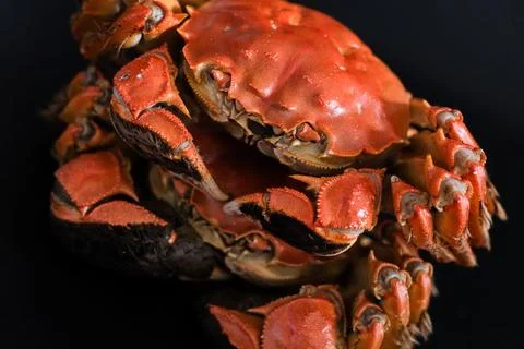Close-up of cooked red crabs on dark background Stock Photos