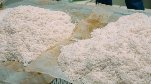 Close up of cooked rice for pilaf drying on cloth Stock Footage 346746834