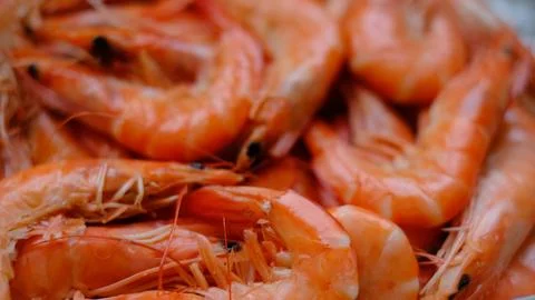 Close Up of Cooked Shrimp Stock Photos