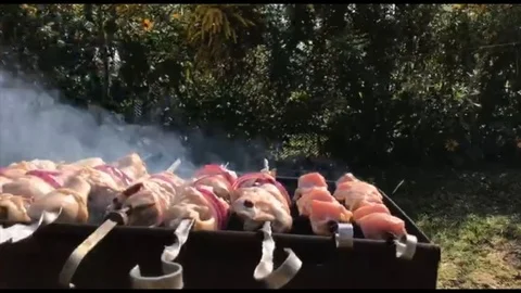 Close up of cooking barbecue Stock Footage 94832449