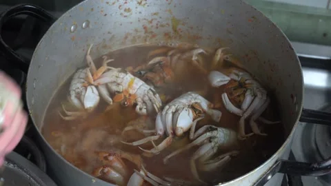 Close-up cooking beach crabs in a kitchen pot Vidéo 145576433