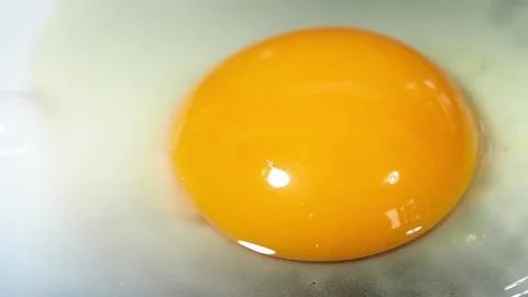 Close up of cooking fried egg Stock Footage 220825822