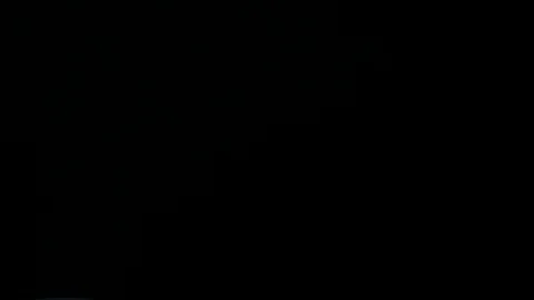 Close up of cooking table full with ingredientes for dish Stock Footage 92551472