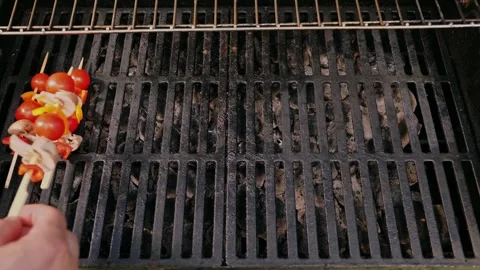 Close-up of a cook's hands carefully placing the vegetables on a grill net Stock-Footage 269034982