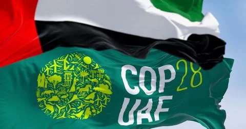 Close-up of COP28 and UAE flags waving on a clear day. Stock Illustration