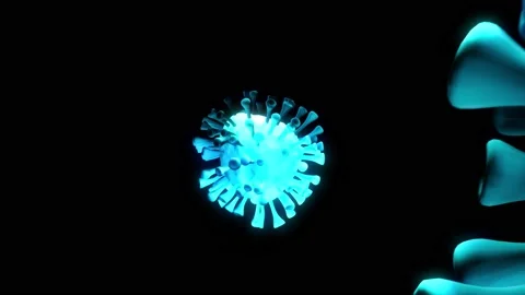 A close up of a coral Stock Footage 155218880