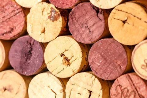 Close up of a cork wine Stock Photos