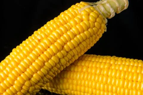 Close up Corn on black Stock Photos