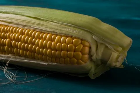 A close up corn on a blue table Stock Photos