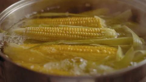 Close-up, Corn Boils in Boiling Water on Gas Plate Stock Footage 140474280