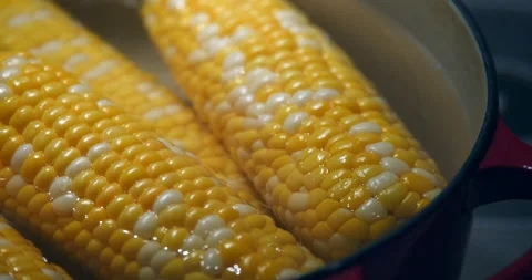 Close up of corn on the cob boiling on a stove top. Stock Footage 131485160