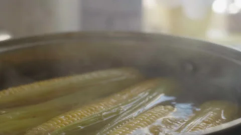 Close-up of corn cobs boiling in pot on kitchen stove Stock Footage 337118351