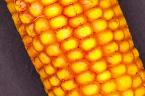 Close-up of Corn Kernels Stock Photos