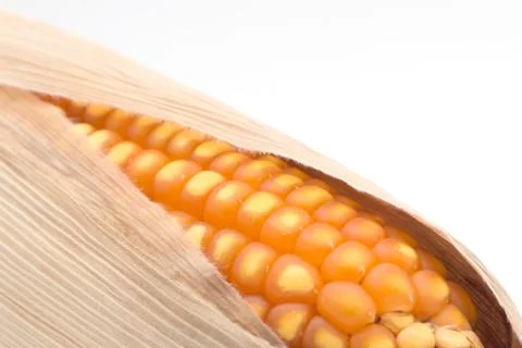 Close up of the corn Stock Photos