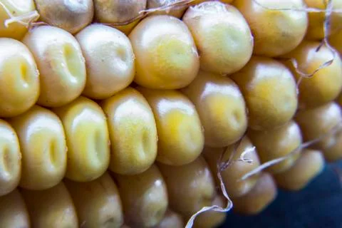 Close up of corn Stock Photos