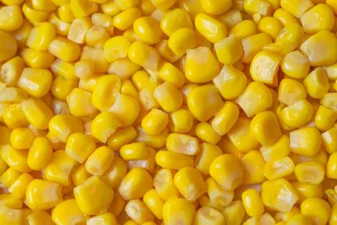 Close-up of Corn Stock Photos