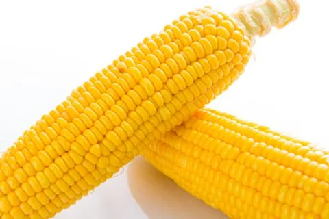 Close up Corn on white Foto stock