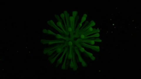 Close up of Coronavirus Stockbeeldmateriaal 140609159