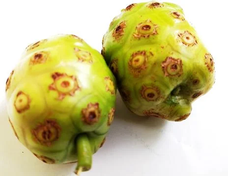 A close up of a Corossol on white background. Stock Photos