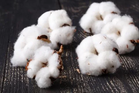 Close up coton on rustic wooden table Stock Photos