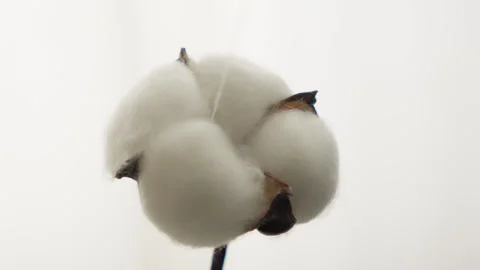 A close-up of a cotton box with a white thread gently being pulled out. Stock Footage 303254157