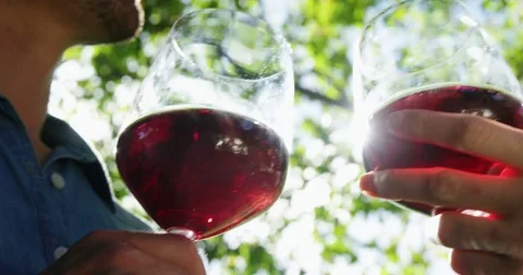 Close-up of couple toasting glasses of red wine in park Stock Footage