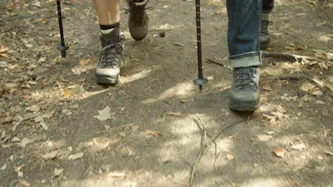 Close Up/ Couple walking through Forest with walking sticks  Stock Footage 144608978