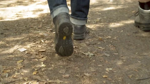 Close Up/ Couple walking through Forest with walking Sticks  Vídeos de archivo 144608984
