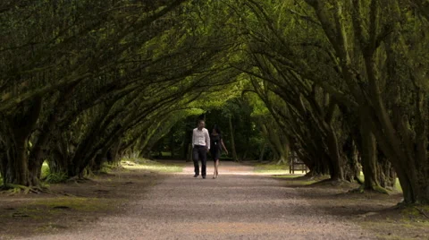 Close Up of Couple Walking Under Trees 2 Stock Footage 44095052