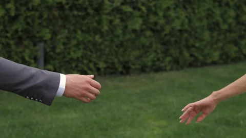 Close-up of the couple's gently touching hands against the green leaves and lawn Stock Footage 235730660