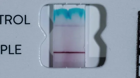 Close Up of a Covid Rapid Test Video stock 168110640