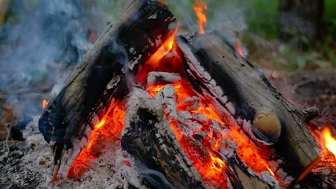 Close-up of a cozy campfire burning with glowing embers and smoke. Vídeos de archivo 341977914